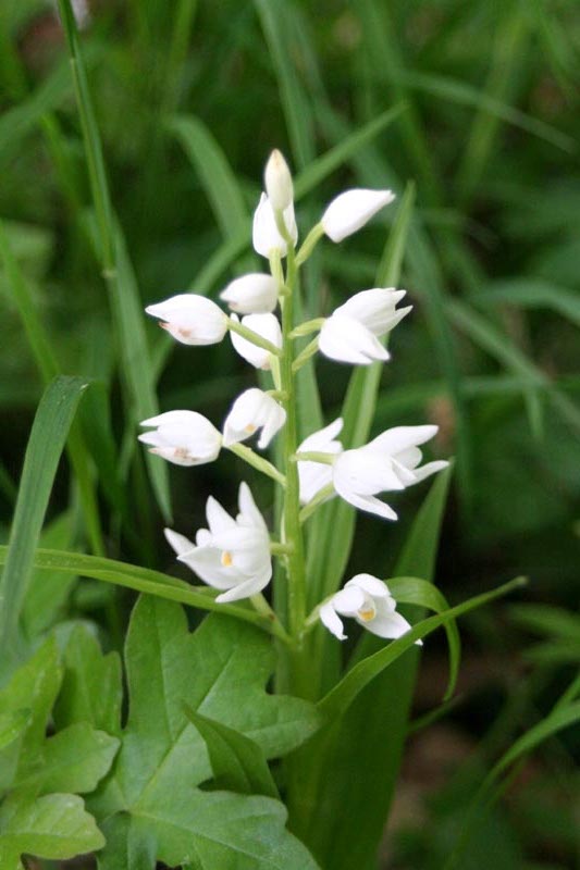 Killikus&reg; Fotographie